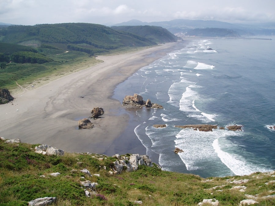 playa de perros en cantabria